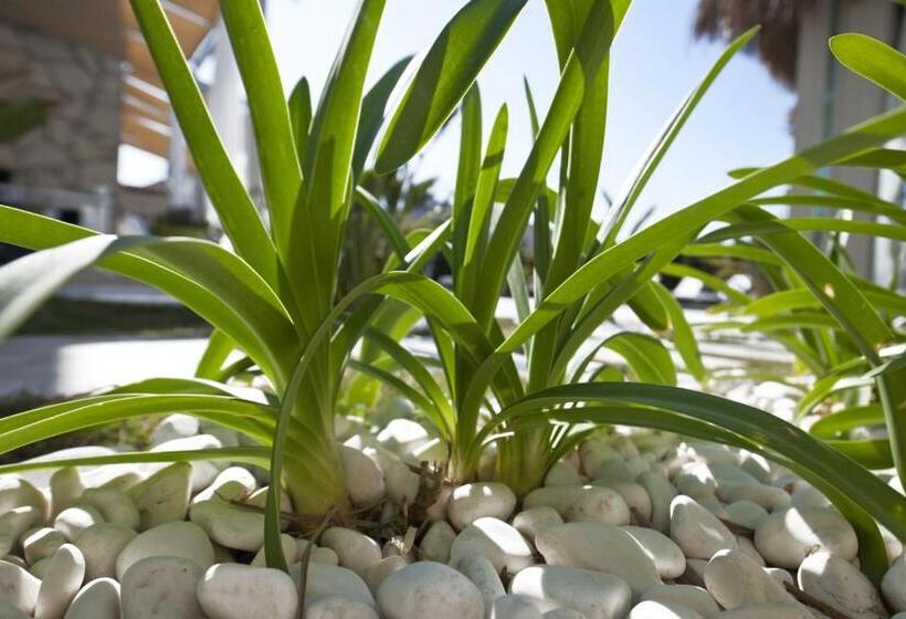 Bed and Breakfast Sade Alacati