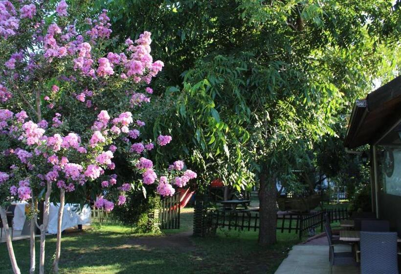 בית מלון כפרי Aloria Garden