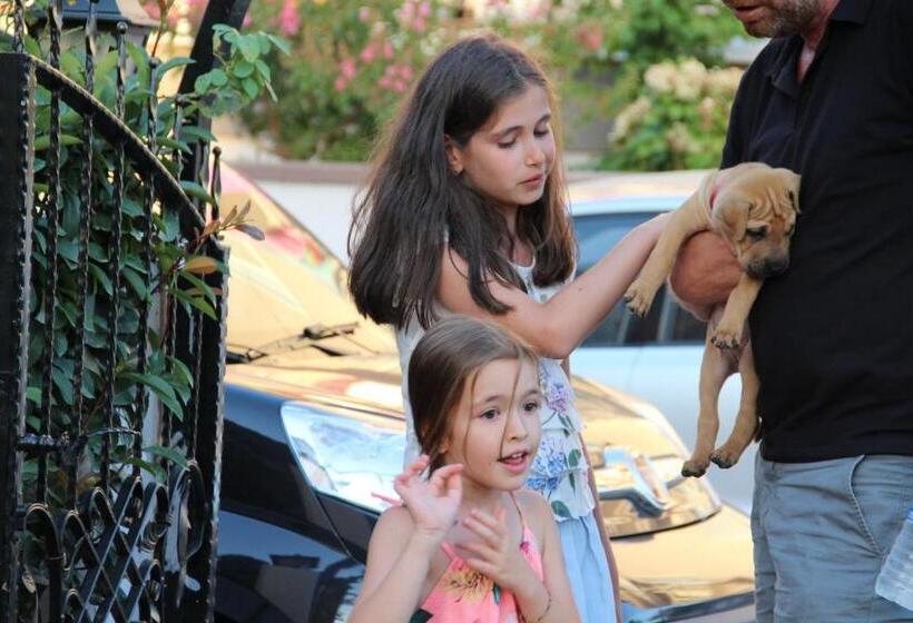 בית מלון כפרי Aloria Garden