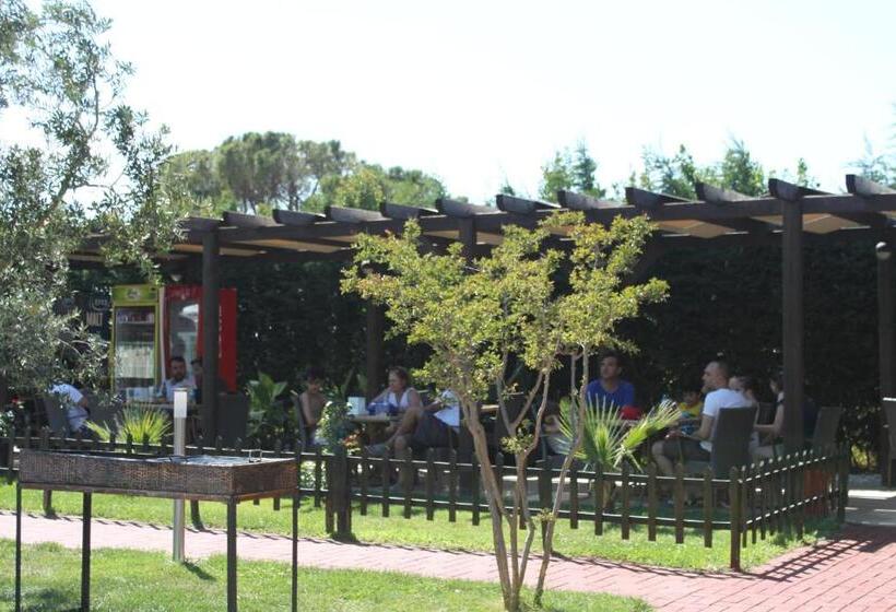 בית מלון כפרי Aloria Garden