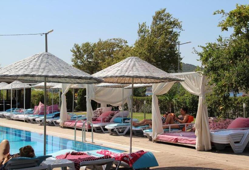 בית מלון כפרי Aloria Garden