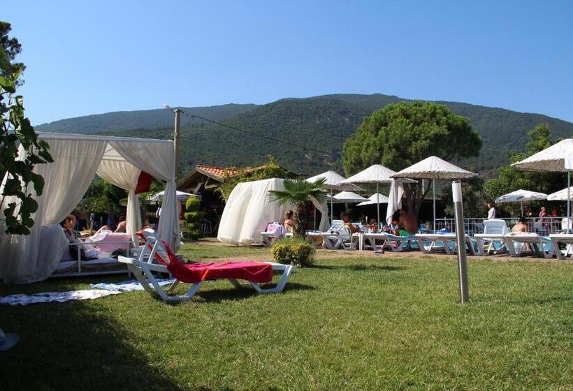 בית מלון כפרי Aloria Garden