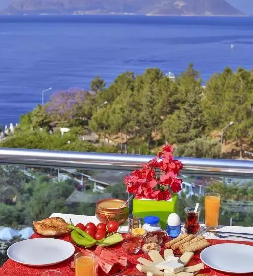 ホテル Antiphellos Pension Küçükçakıl