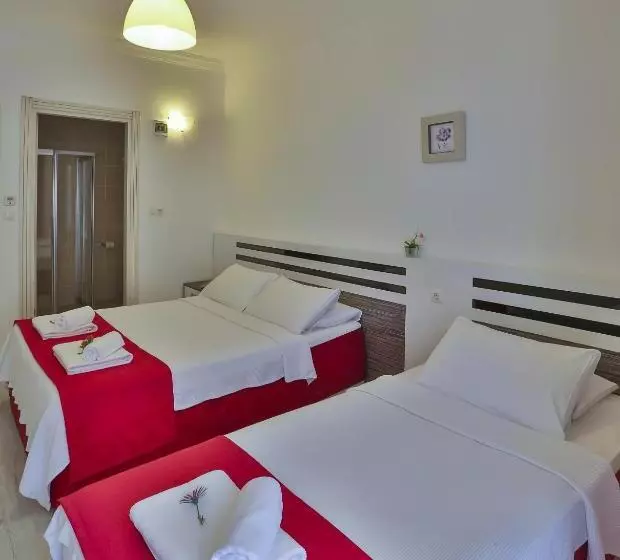 ホテル Antiphellos Pension Küçükçakıl