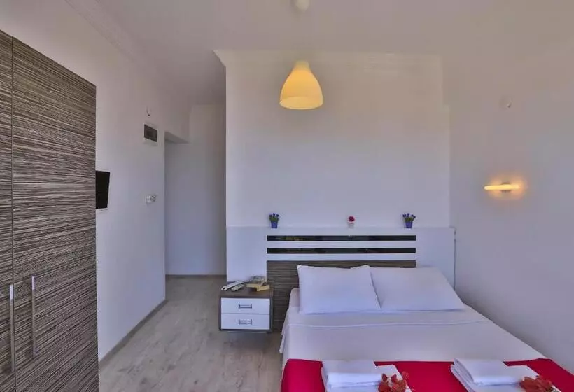 ホテル Antiphellos Pension Küçükçakıl