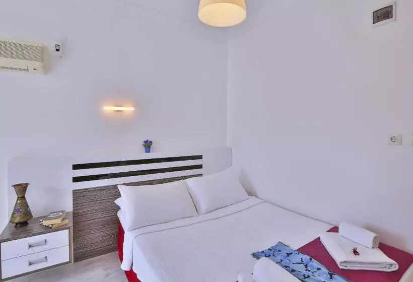 ホテル Antiphellos Pension Küçükçakıl