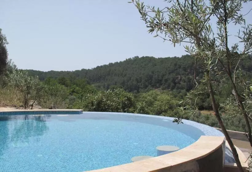 Hotel D&c Göcek