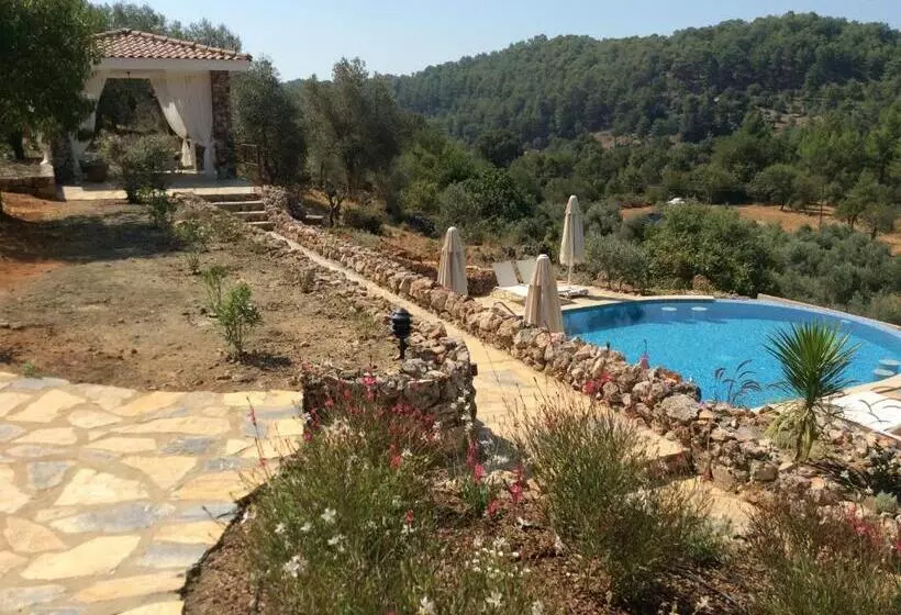 Hotel D&c Göcek