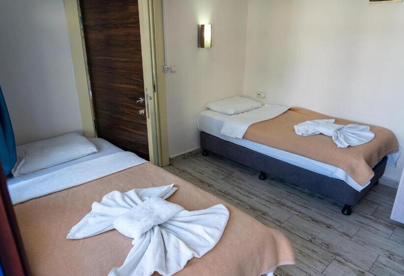 בית מלון כפרי Eroglu City