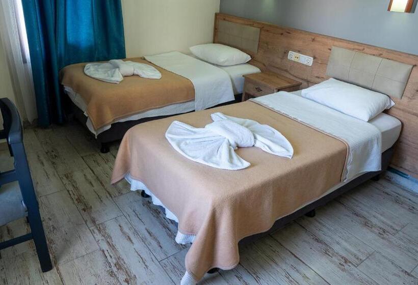 בית מלון כפרי Eroglu City