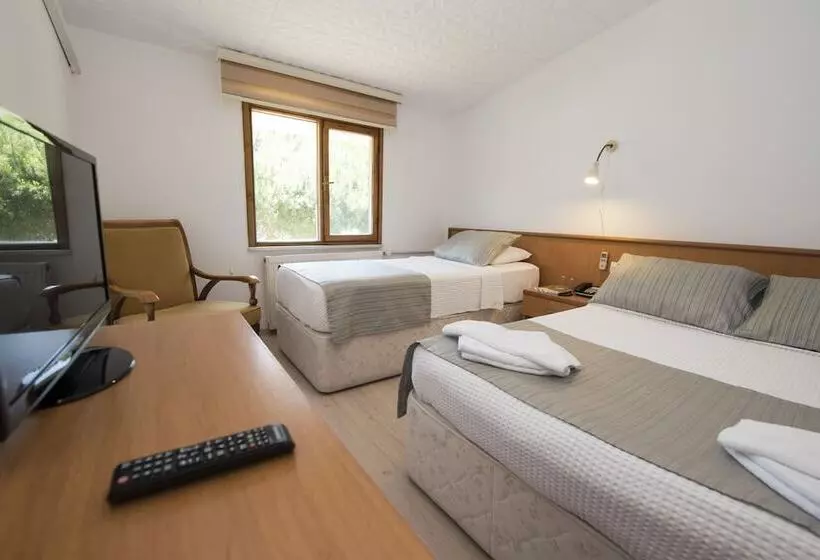 Otel Diyojen