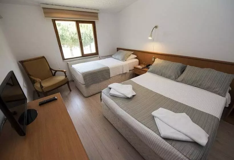 Otel Diyojen