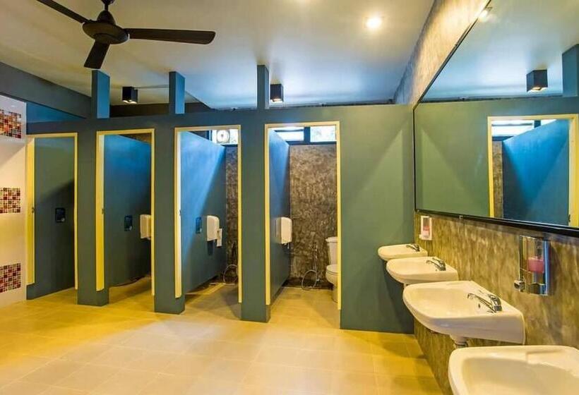 هاستل Amity Poshtel