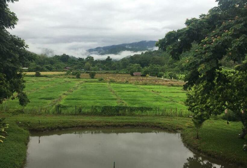 مبيت وإفطار Gumbie House