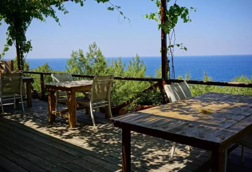 ベッドアンドブレックファースト Honey Hill Faralya Forest Cabins By The Sea