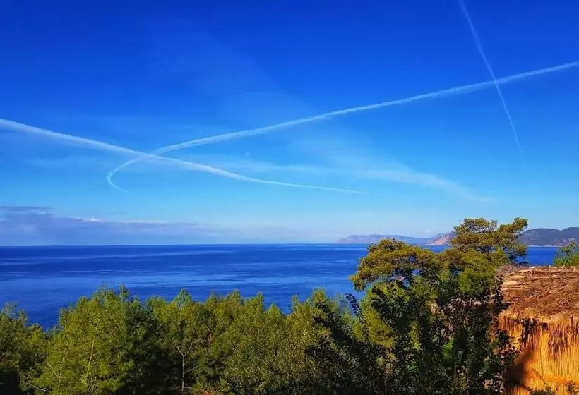 ベッドアンドブレックファースト Honey Hill Faralya Forest Cabins By The Sea