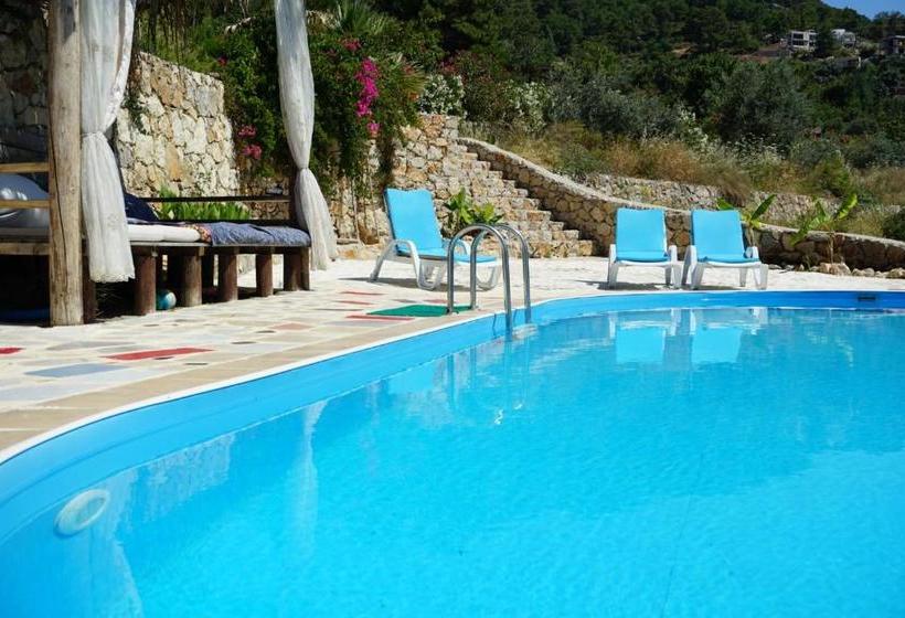 צימר Honey Hill Faralya Forest Cabins By The Sea