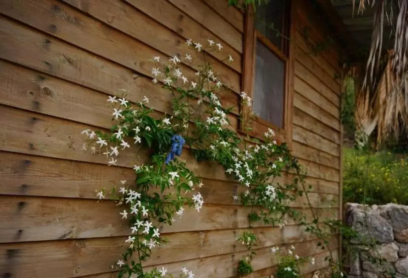 ベッドアンドブレックファースト Honey Hill Faralya Forest Cabins By The Sea