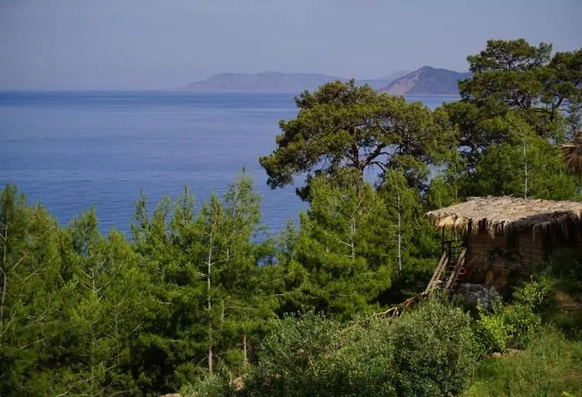 ベッドアンドブレックファースト Honey Hill Faralya Forest Cabins By The Sea