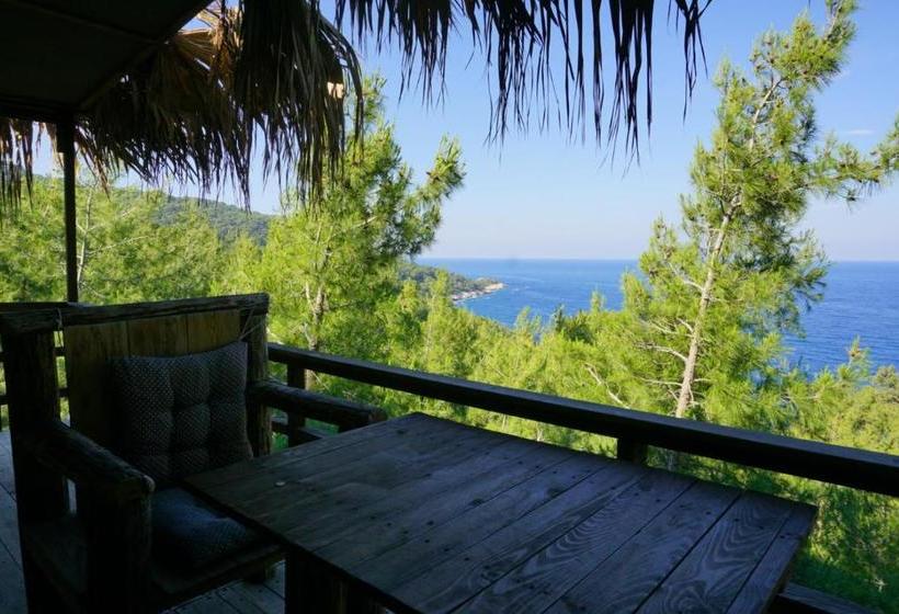 צימר Honey Hill Faralya Forest Cabins By The Sea