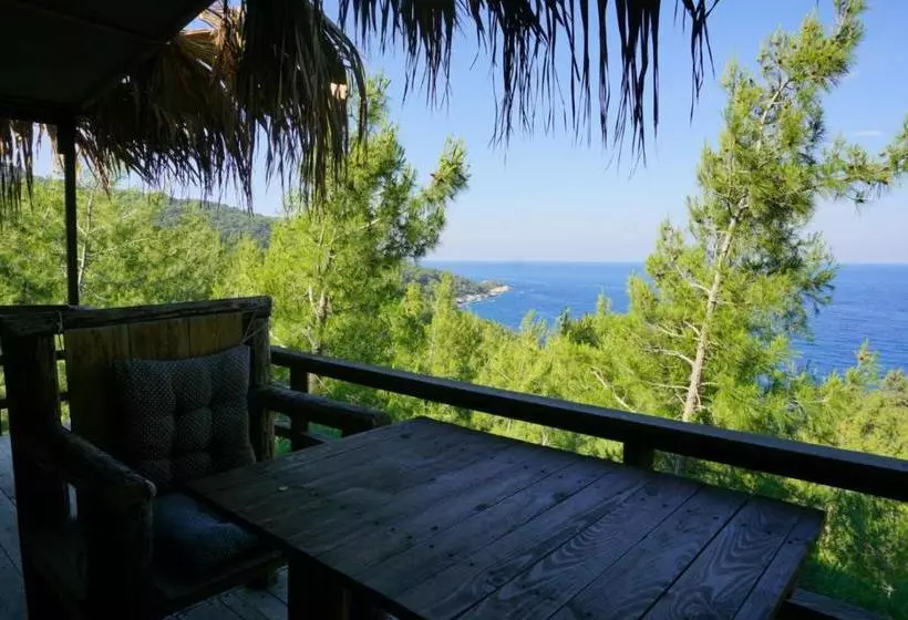 ベッドアンドブレックファースト Honey Hill Faralya Forest Cabins By The Sea