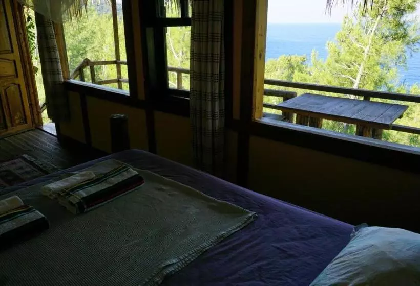ベッドアンドブレックファースト Honey Hill Faralya Forest Cabins By The Sea