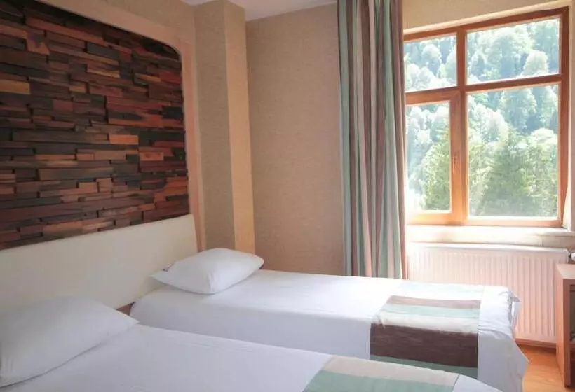 Hotel Ayderoom