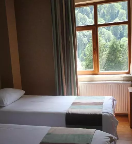 Hotel Ayderoom
