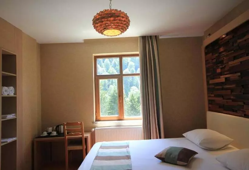 Hotel Ayderoom