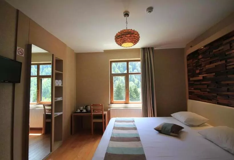 Hotel Ayderoom