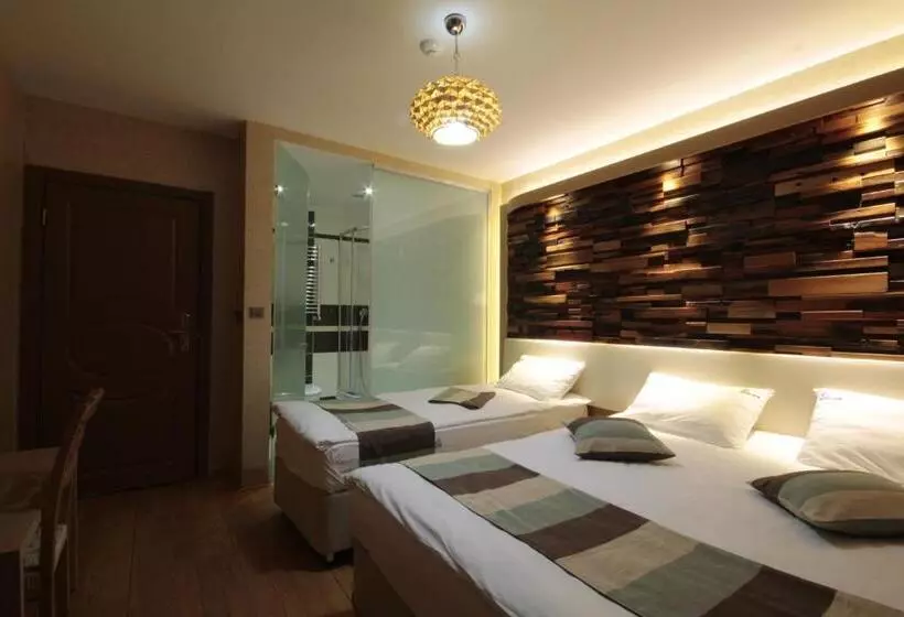 Hotel Ayderoom