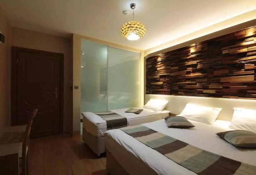 Hotel Ayderoom