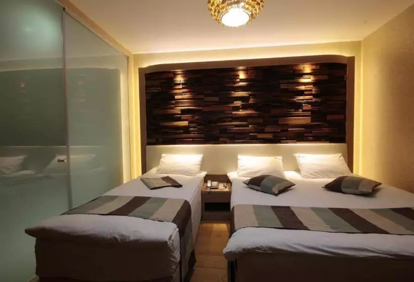 Hotel Ayderoom