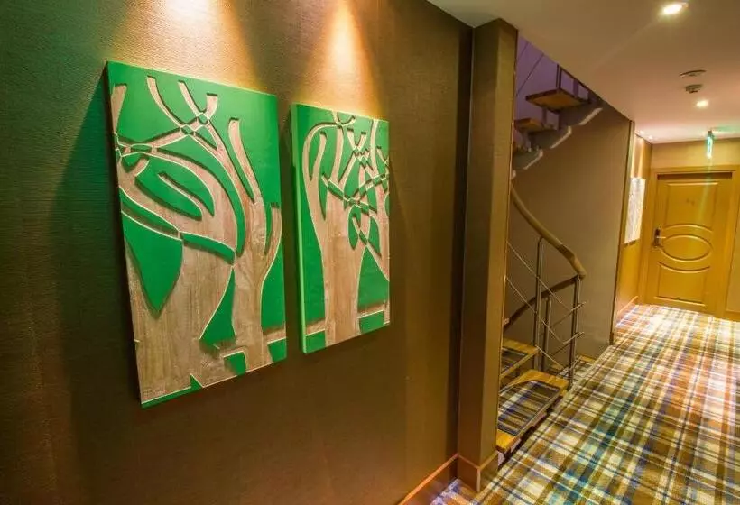 Hotel Ayderoom