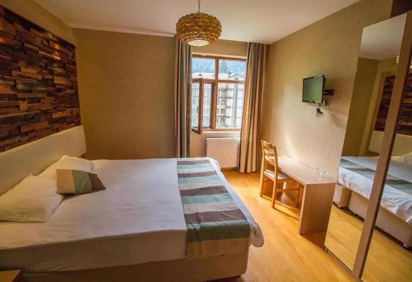 Hotel Ayderoom