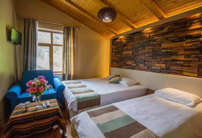Hotel Ayderoom