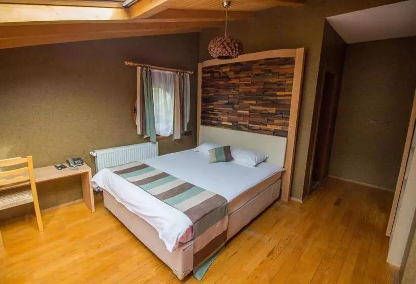 Hotel Ayderoom