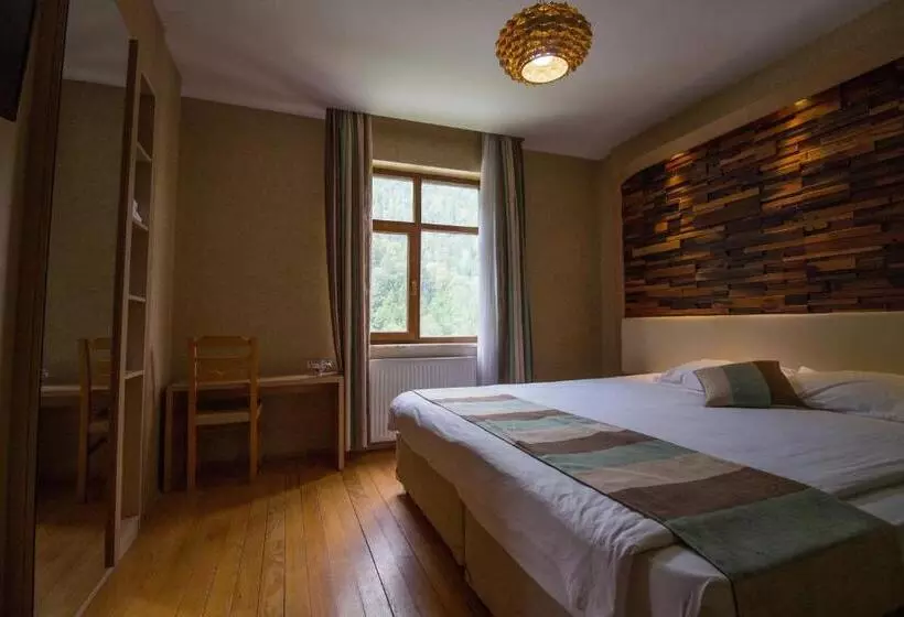 Hotel Ayderoom