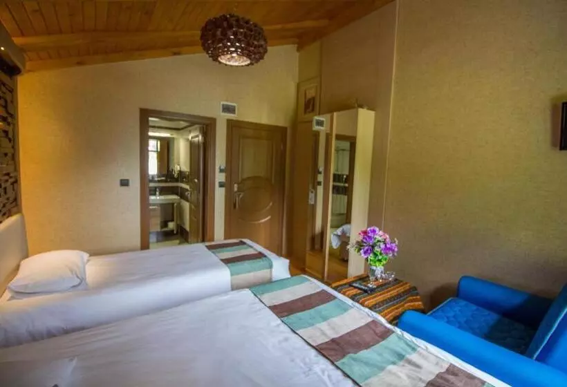 Hotel Ayderoom