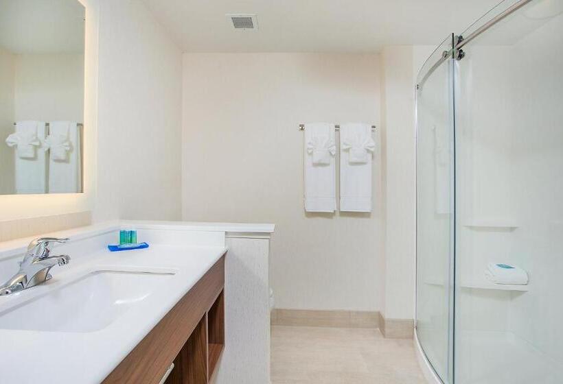 ホテル Holiday Inn Express & Suites Covington, An Ihg