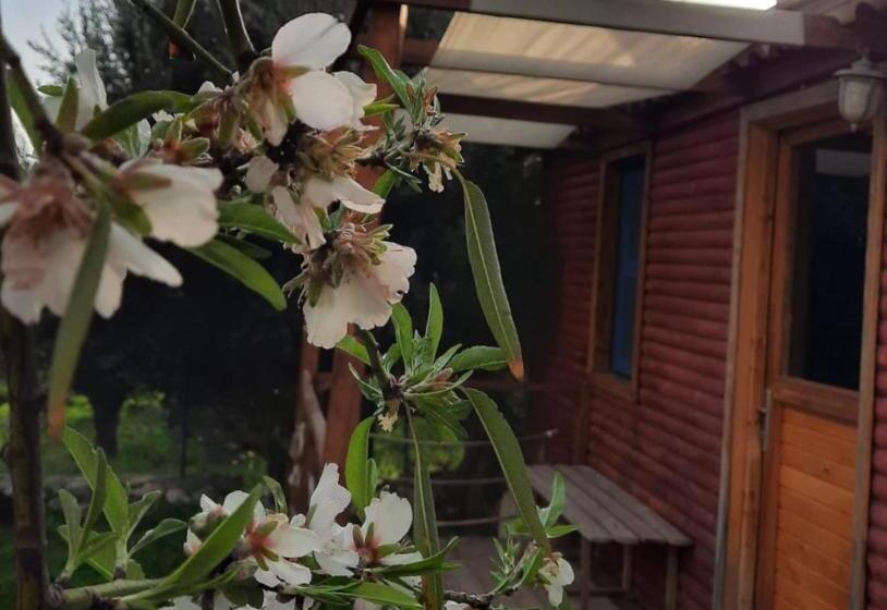 منتجع Bahar Bahce Datca