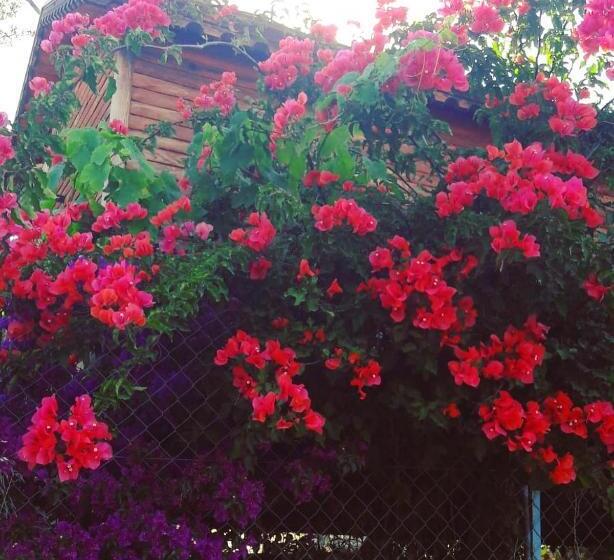 منتجع Bahar Bahce Datca