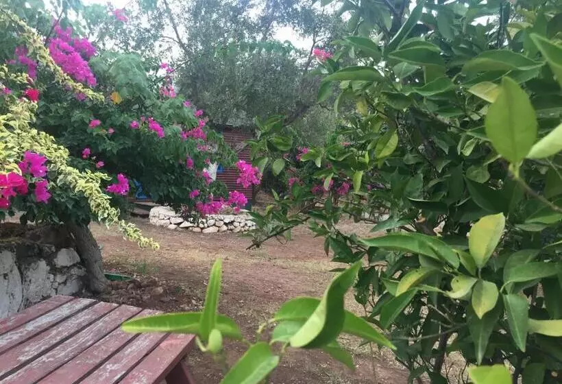 Lomakeskus Bahar Bahce Datca