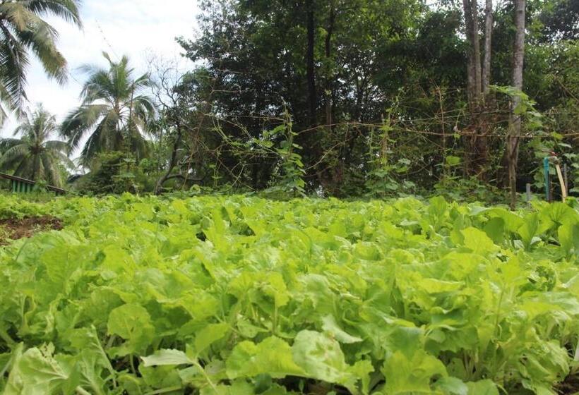 リゾートホテル Phayam Garden View