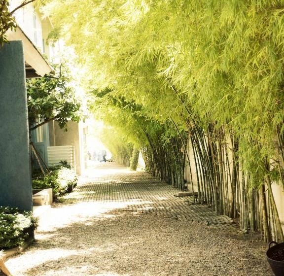 منتجع Pomelo Amphawa The Local Residence