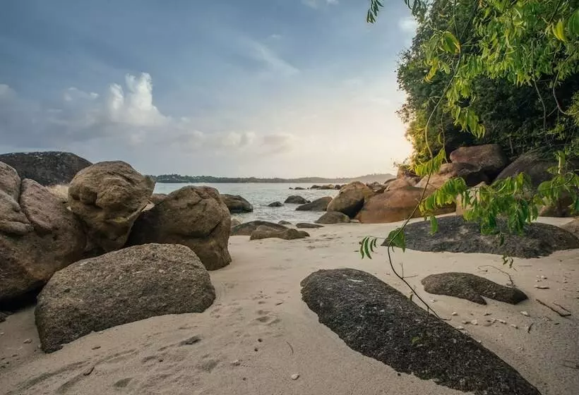 ホテル Adang Island Resort