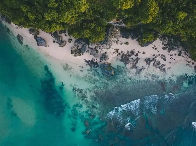 ホテル Adang Island Resort