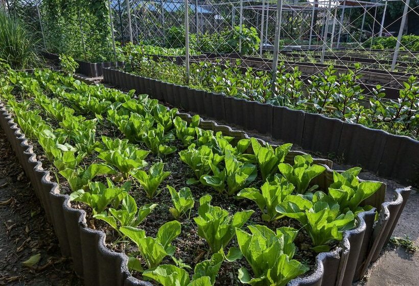 בית מלון כפרי Rattana Park