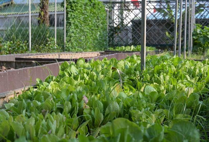 בית מלון כפרי Rattana Park