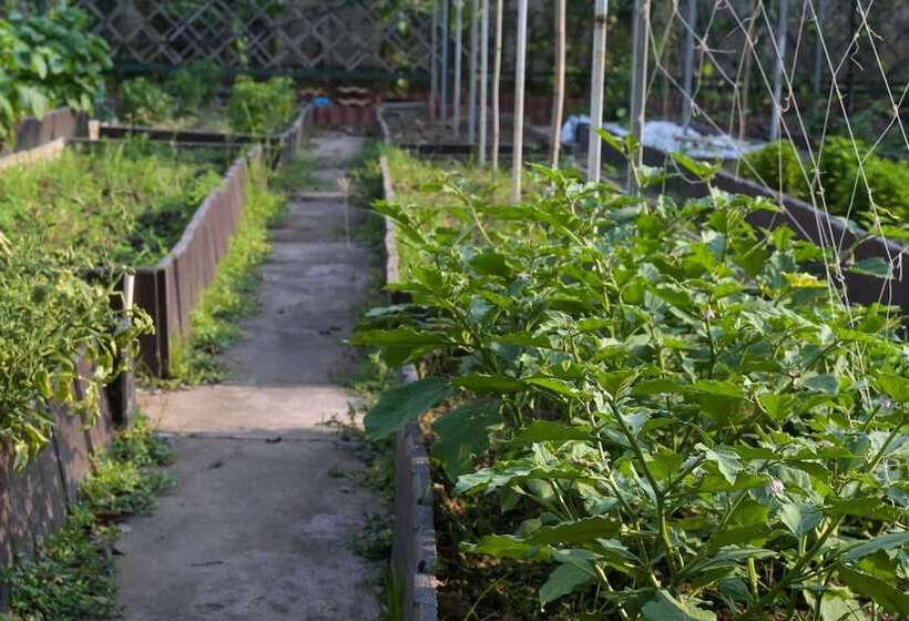 בית מלון כפרי Rattana Park